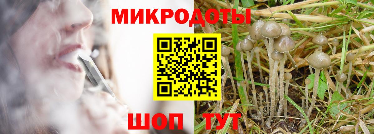 Псилоцибиновые грибы мухоморы Тайшет